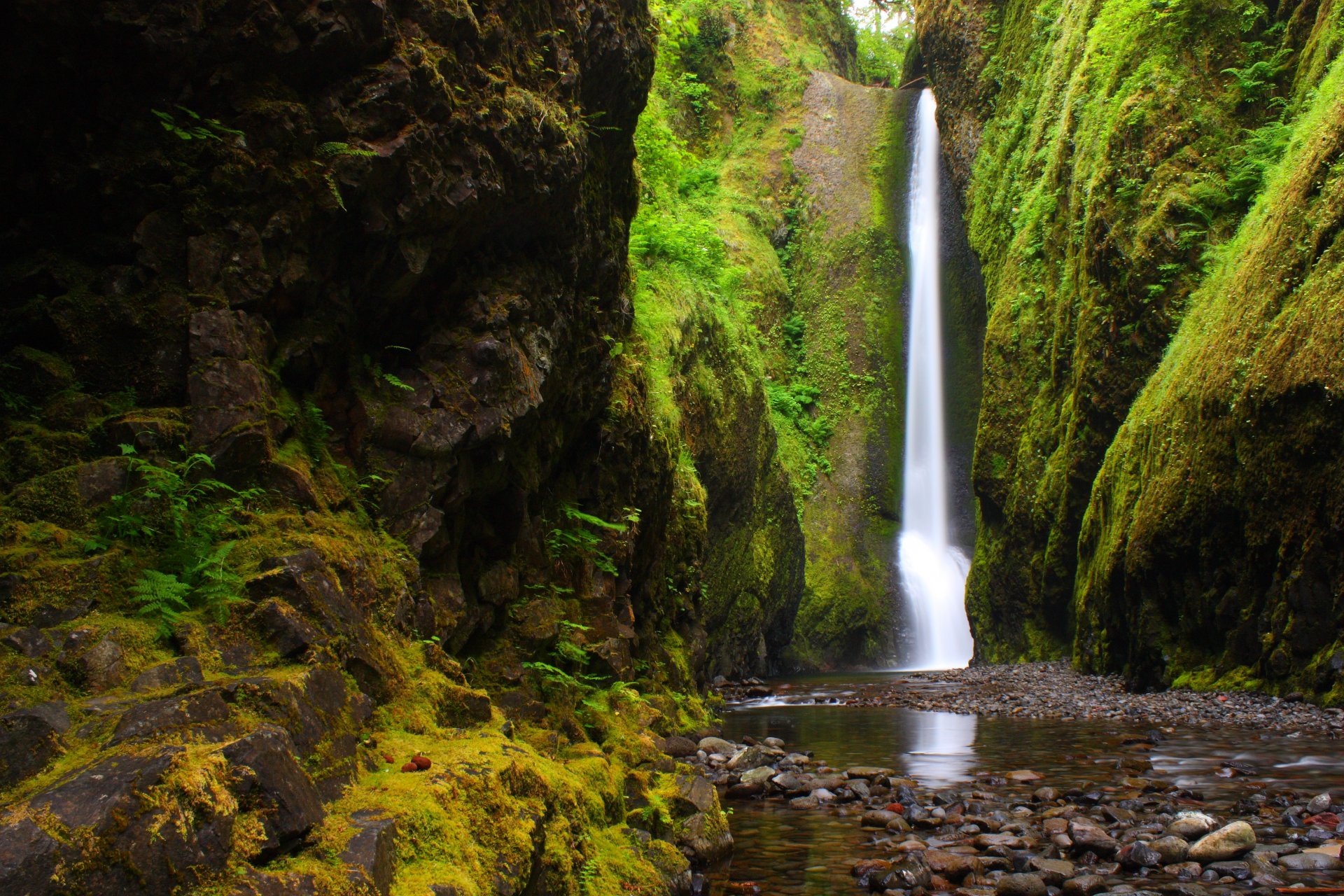 río montañas bosque naturaleza garganta del río oregon