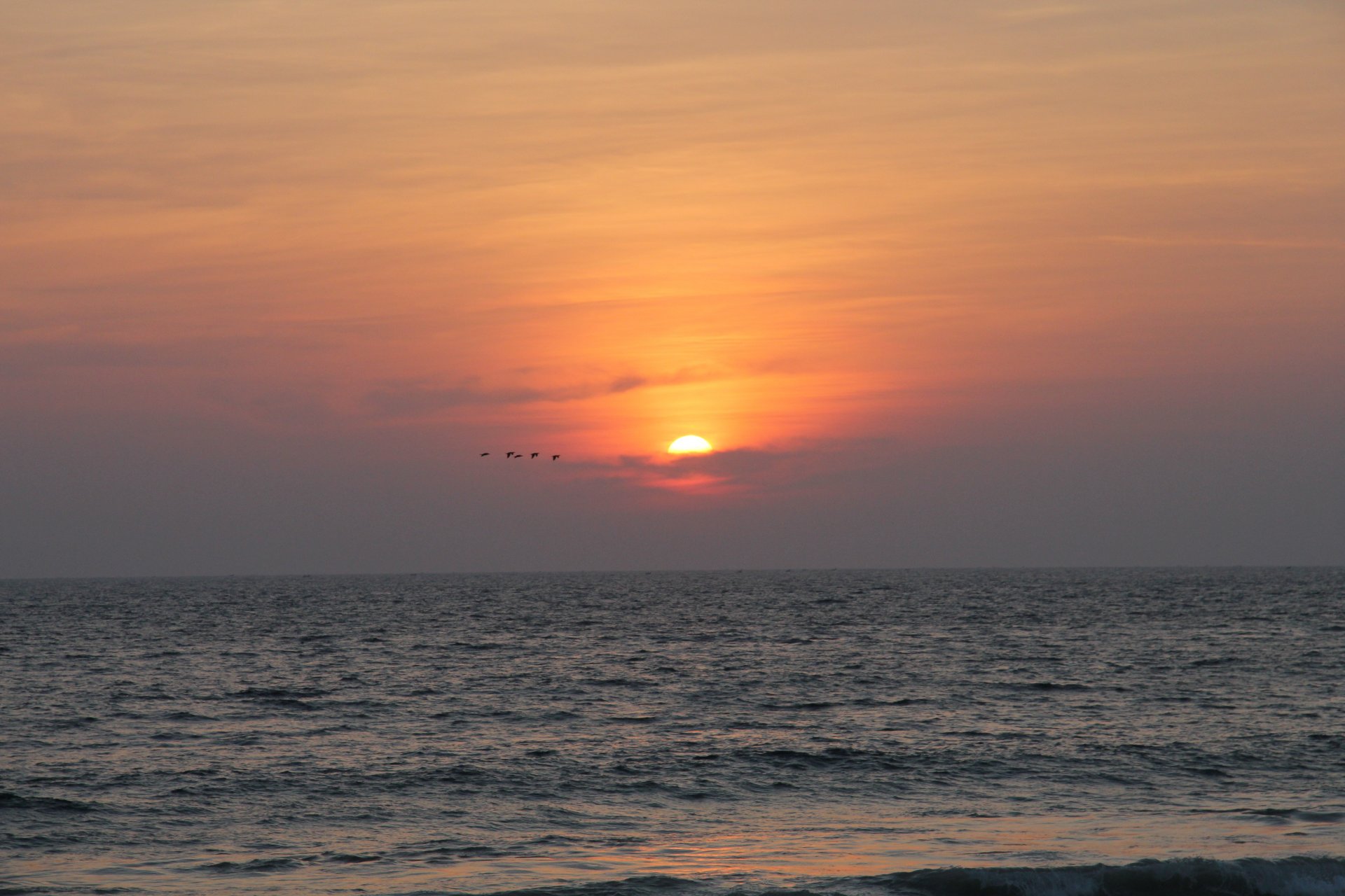 nature océan inde soleil coucher de soleil oiseaux