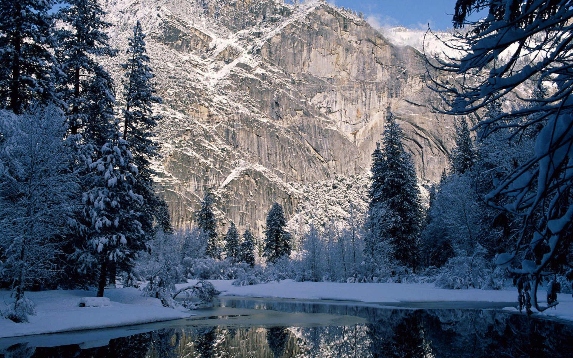 mountain winter snow rock tree spruce river