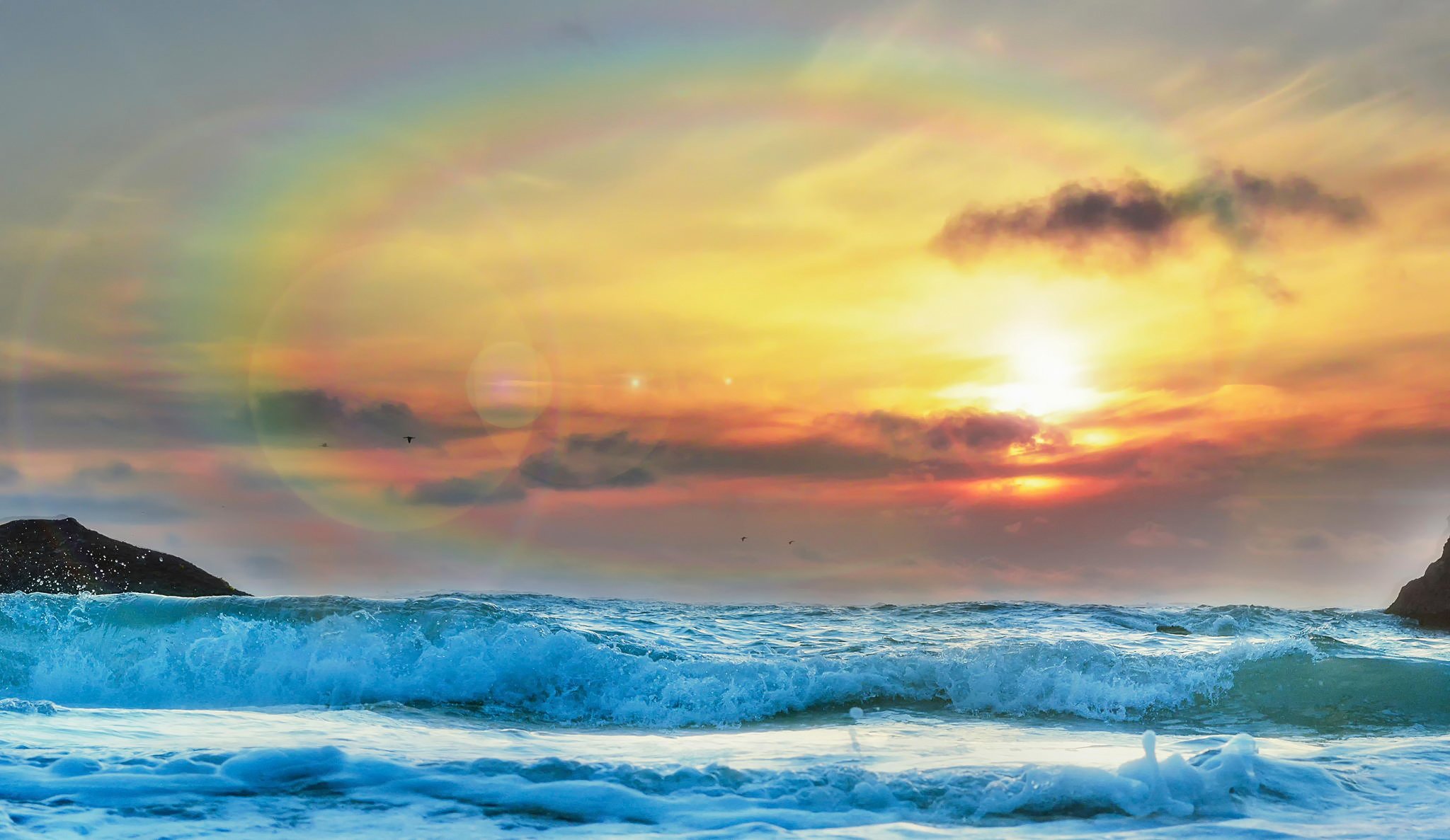 océan vagues ciel oiseaux