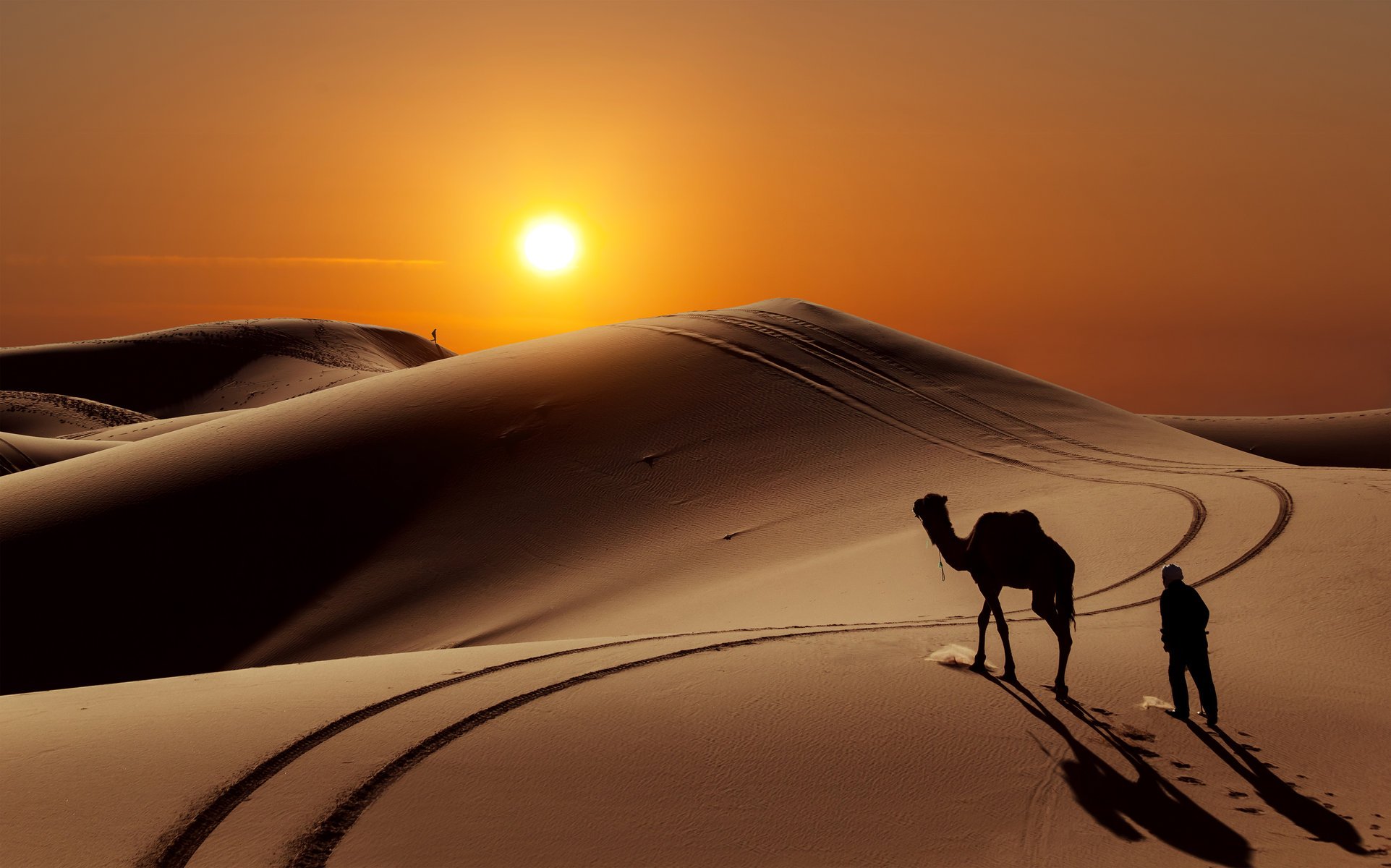 désert barkhans chameau gens soleil