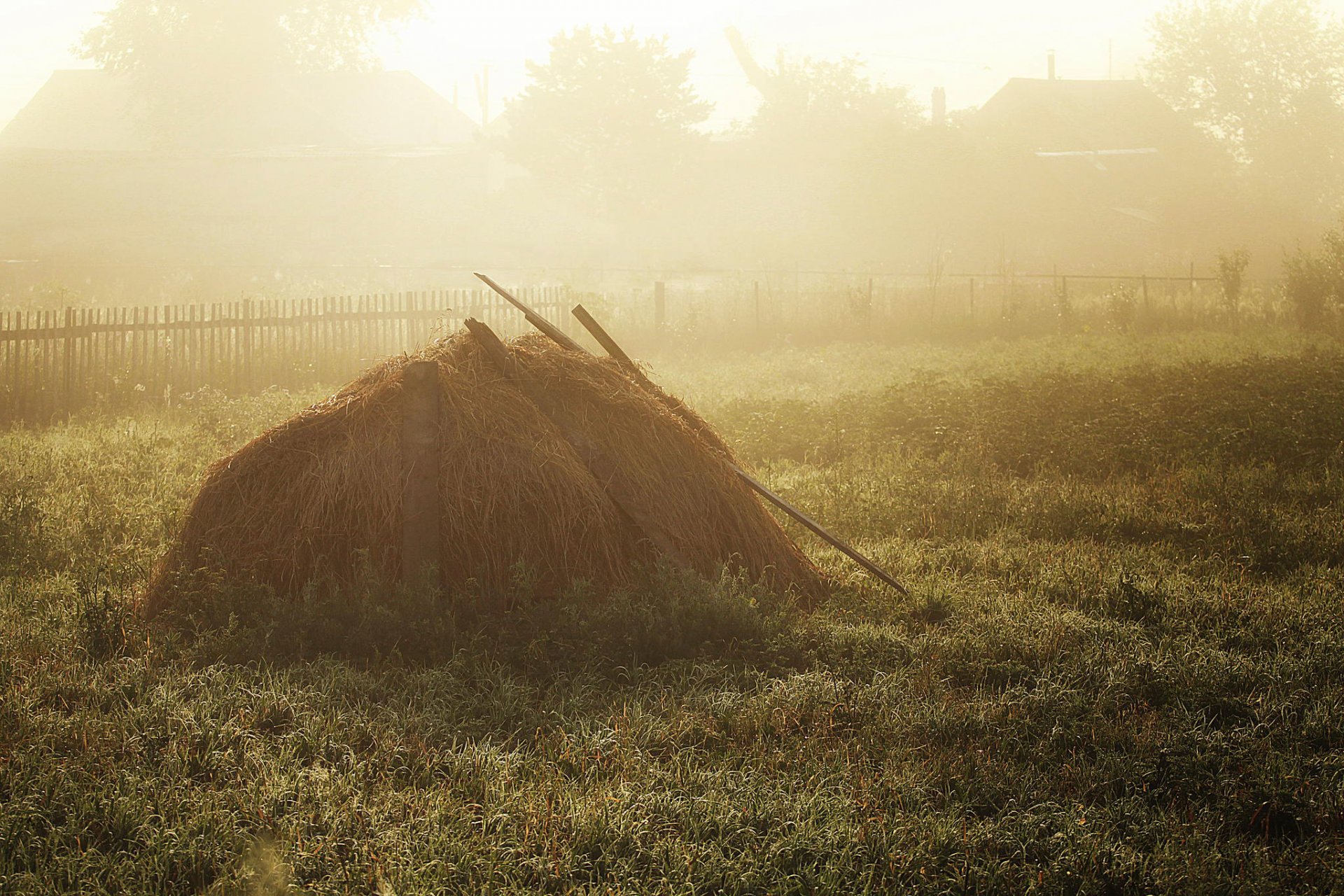 tack hay morning village fog