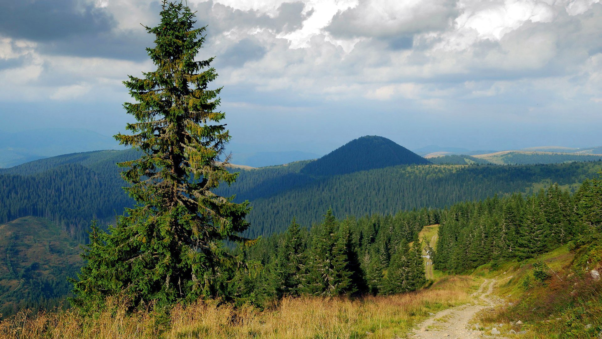 himmel wolken berge hügel wald bäume tanne straße