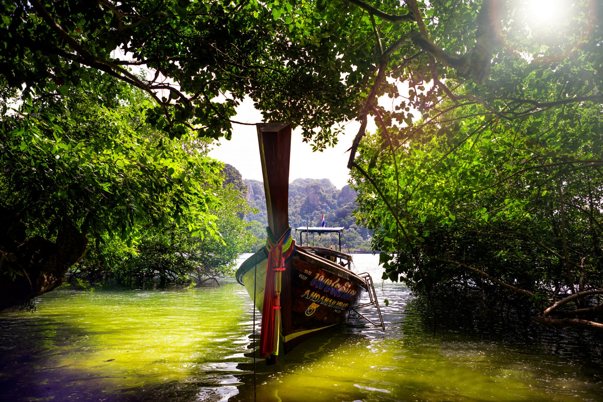 thailand dzhugnli water boat tree