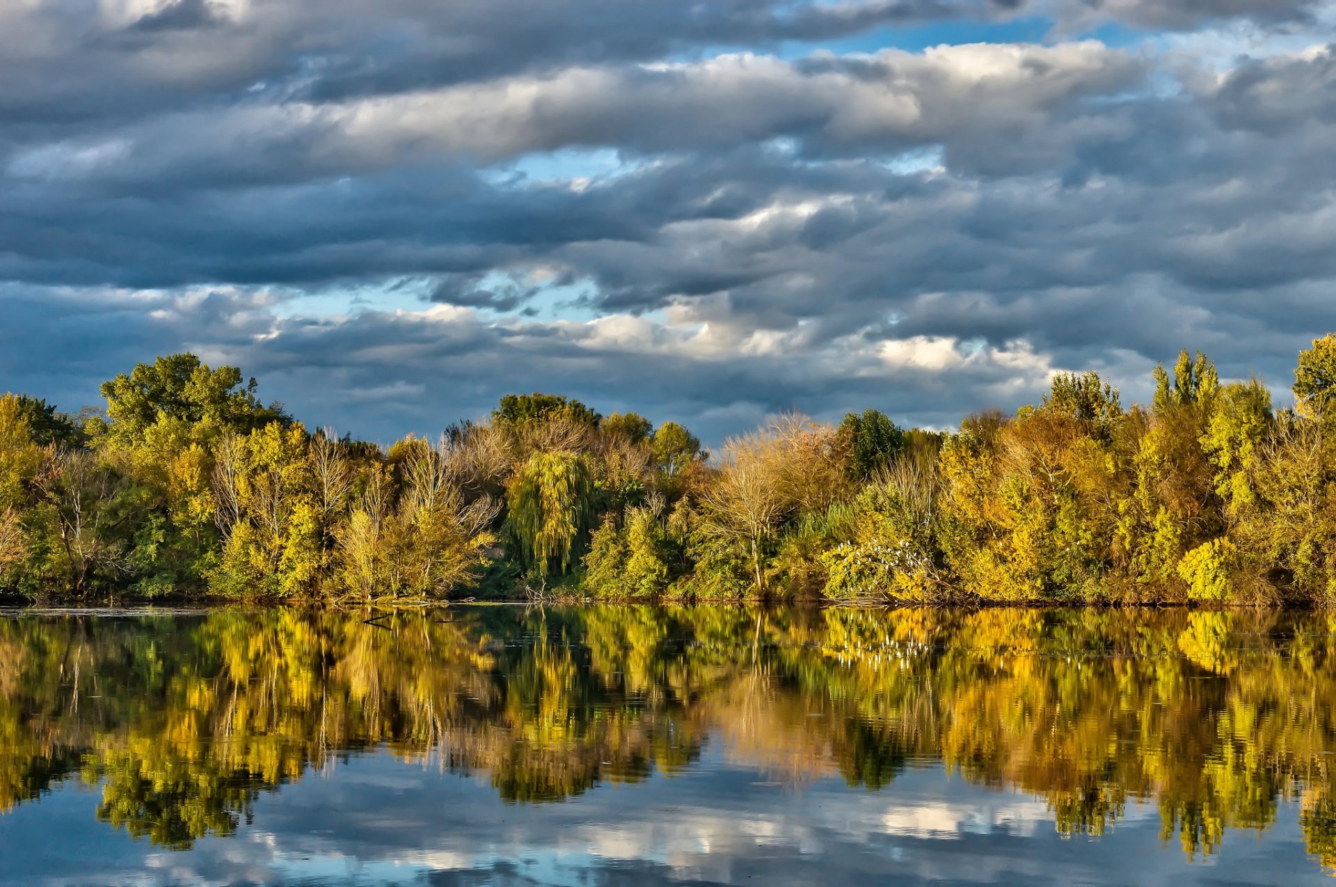 árboles lago reflexión