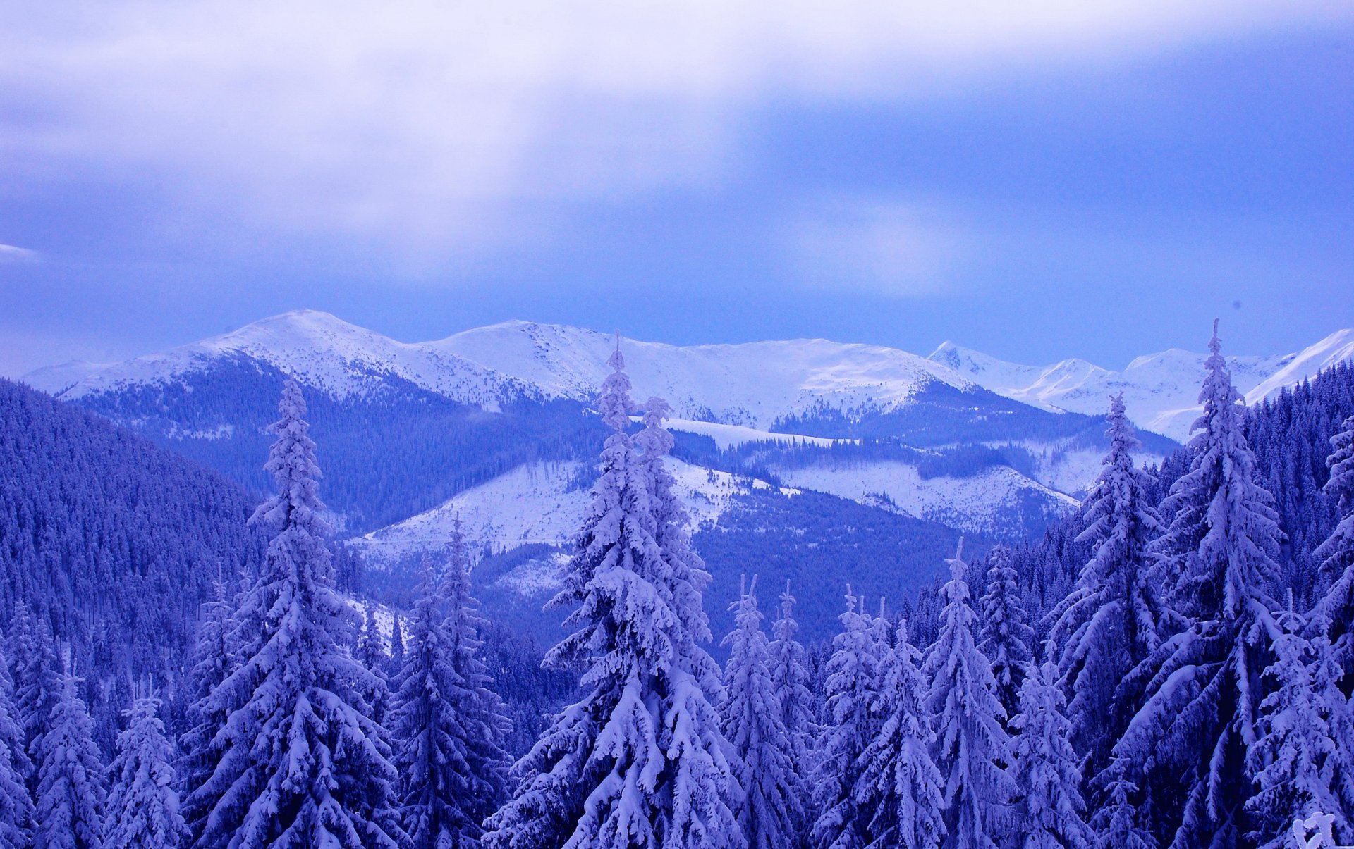 cielo nuvole montagne inverno neve alberi abete rosso paesaggio