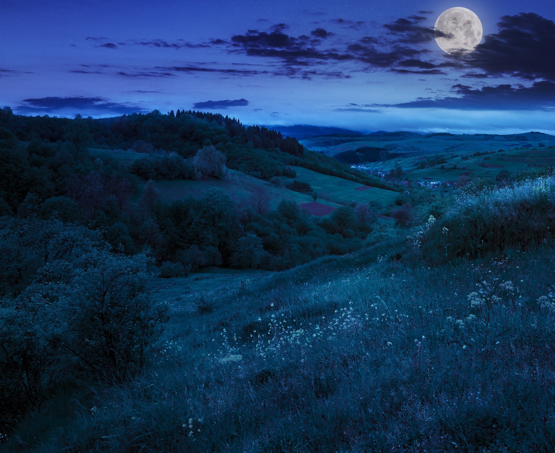 naturaleza noche colinas árboles luna