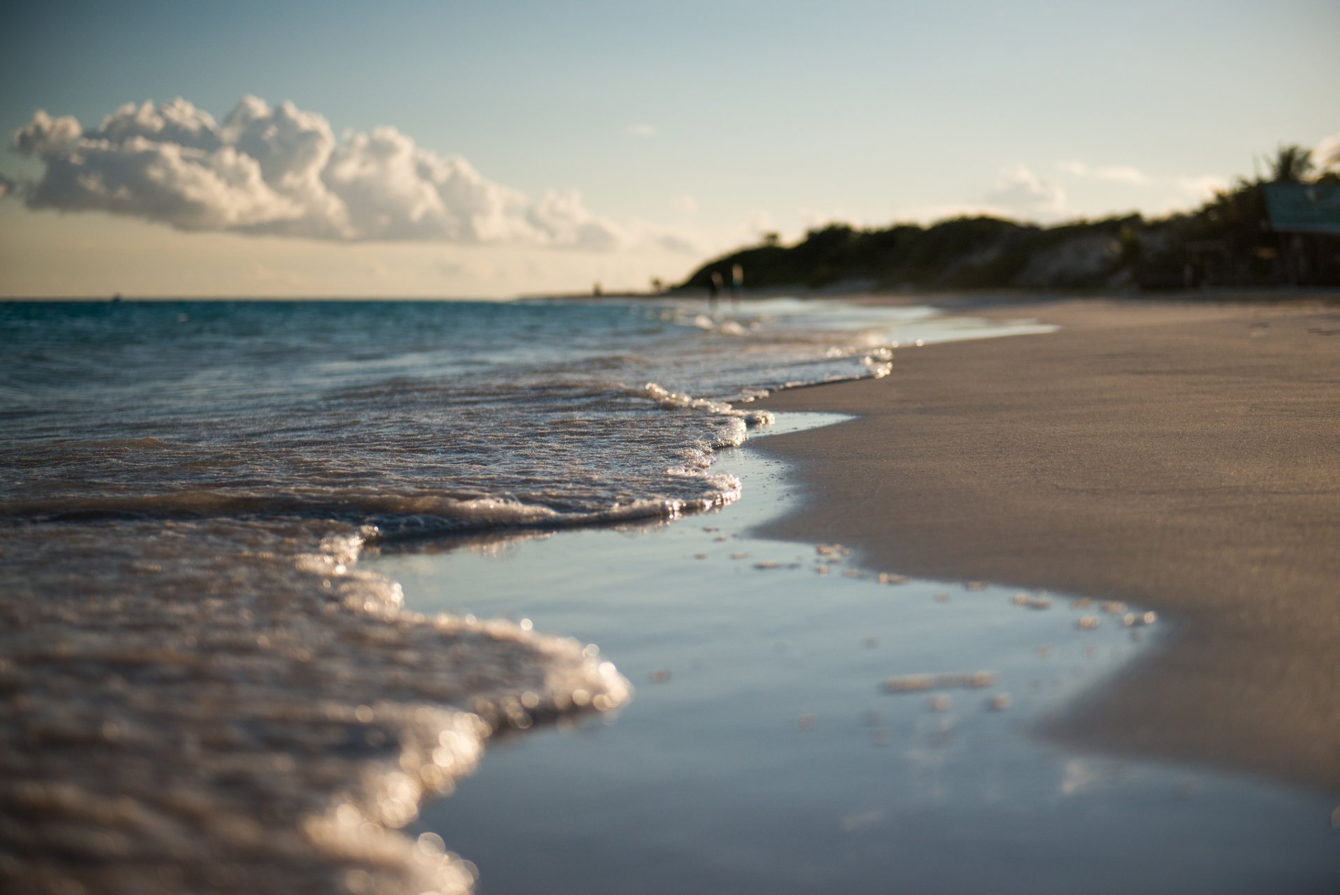 surfowanie piasek wiosna makro anguilla