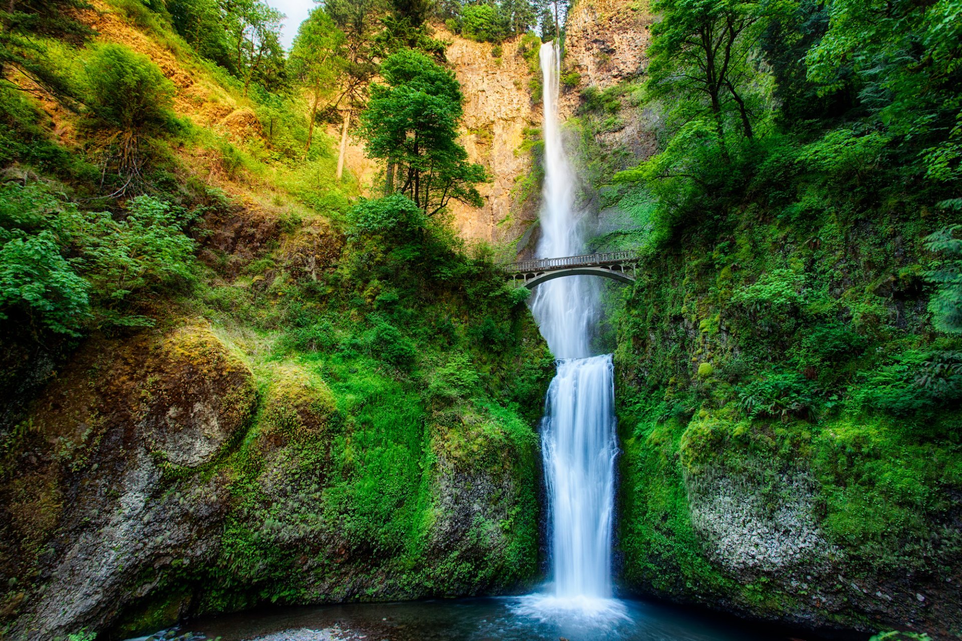 oregon united states waterfall river feed forest tree bridge rock