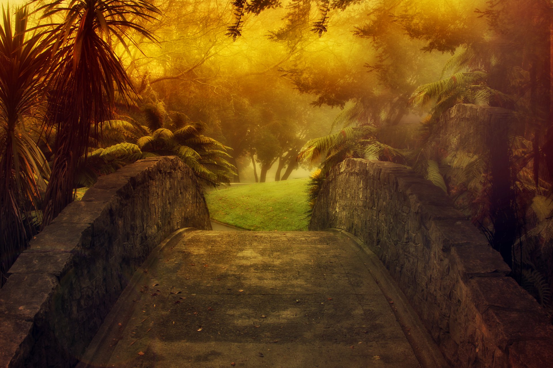 pont de pierre nature brouillard palmiers arbres herbe