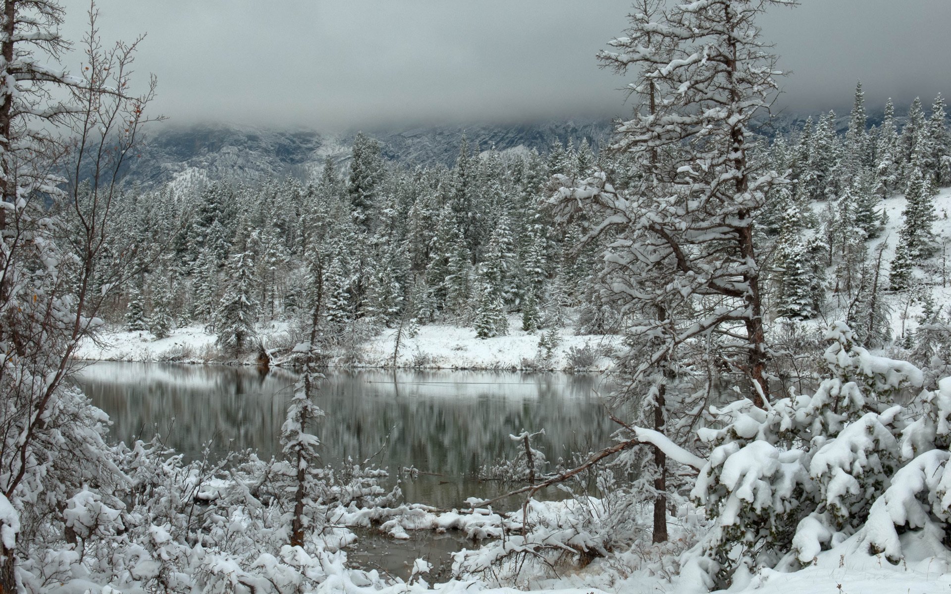 invierno nieve bosque lago nubes montañas