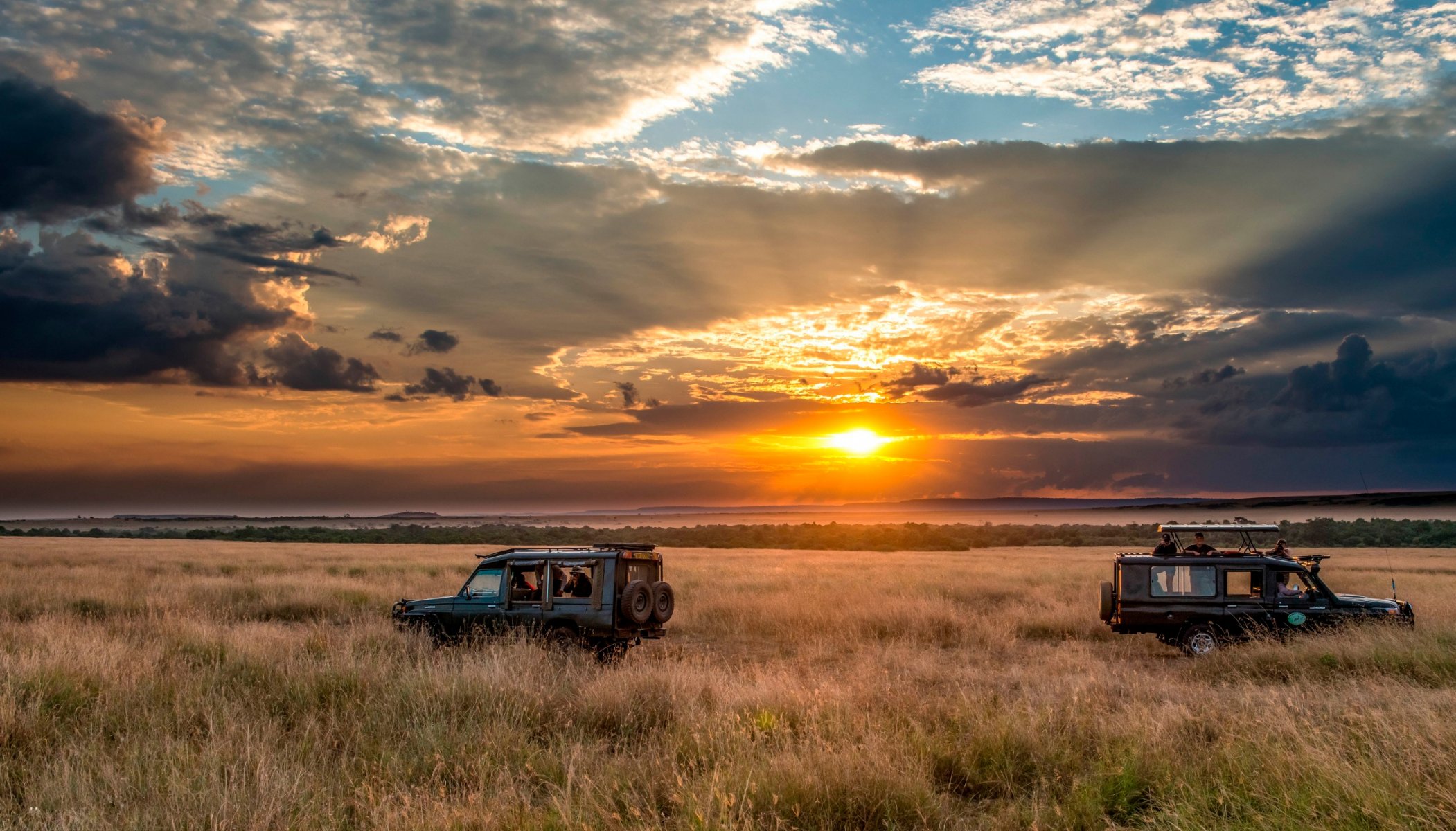 safari samochody niebo horyzont