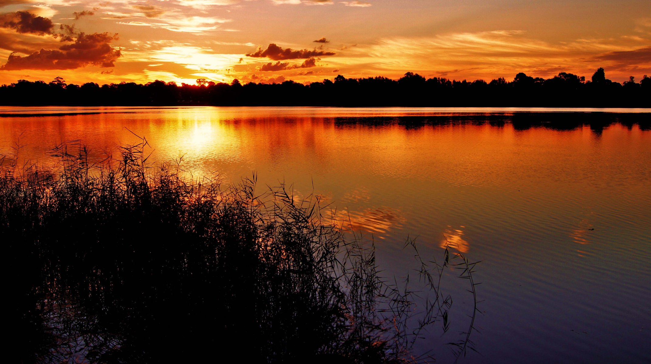 unset lake grass night silhouettes beach cloud