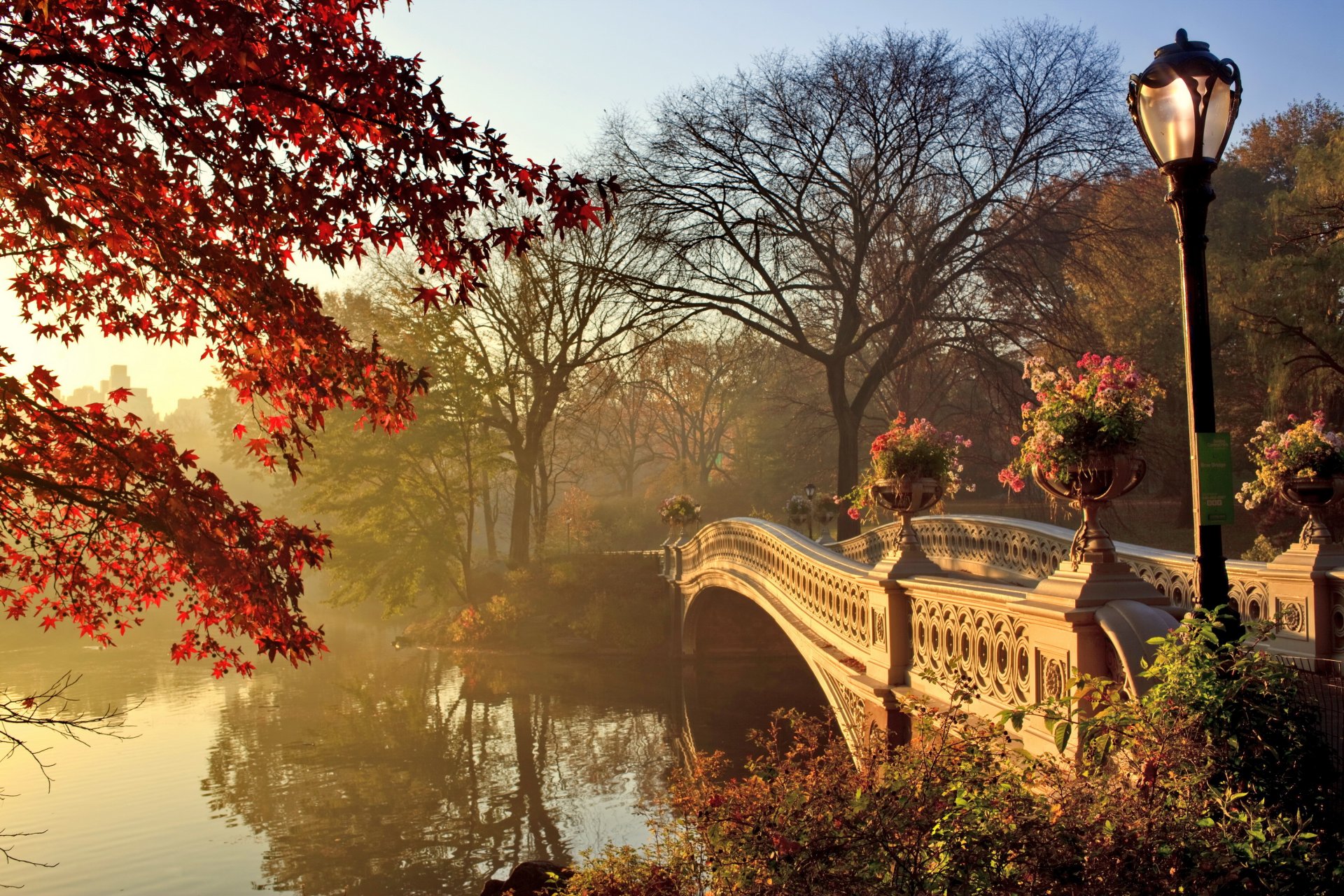 automne parc pont saison d automne paysage