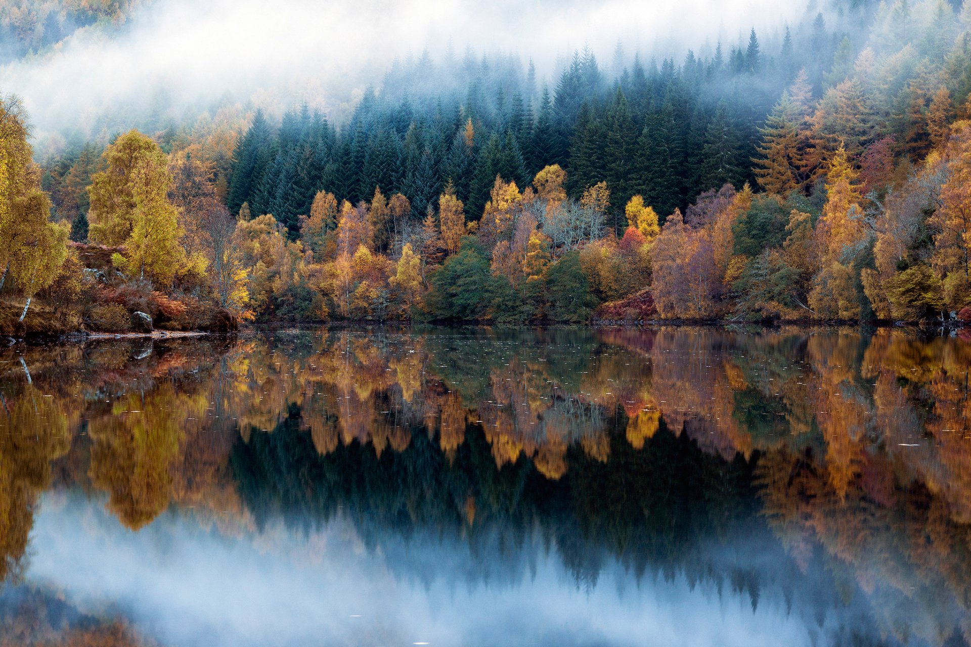 natura las jezioro jesień refleksje