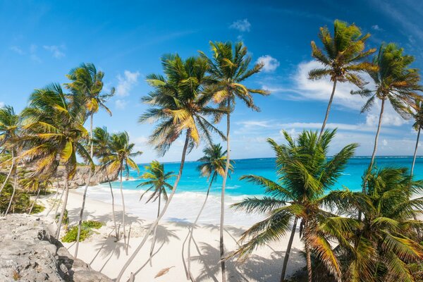 Urlaub, Bahamas, weißer Sand