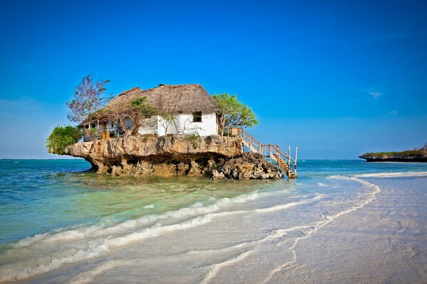 House with trees on an island by the sea