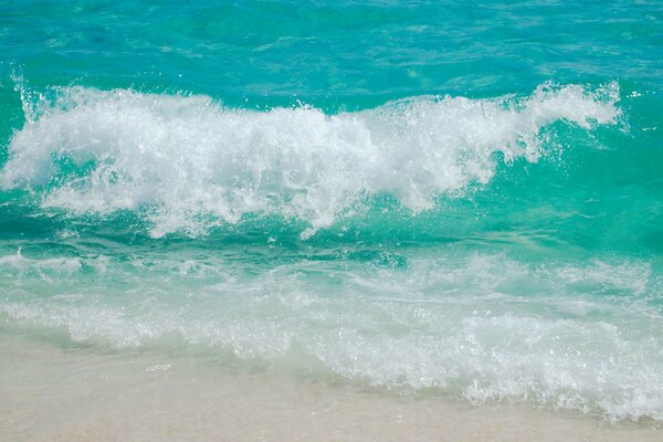 Mousse de mer sur la plage blanche comme neige