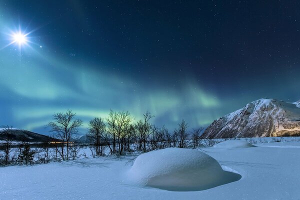 Northern Lights in snowy winter