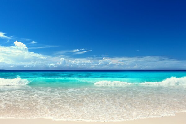 Landscape of the sea and beach in summer