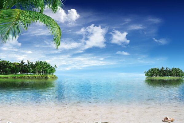 Das Ufer eines tropischen Strandes mit Palmen