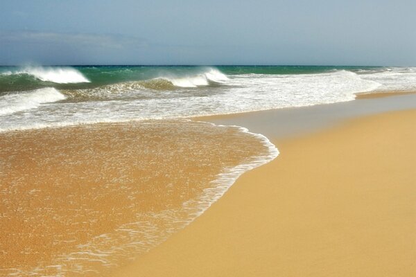 The sea and a beautiful sandy beach