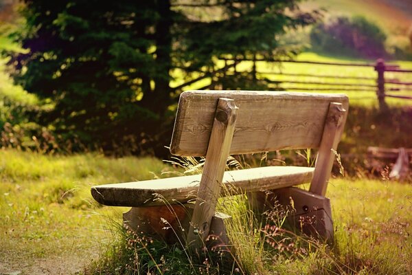 Banc d été dans la Prairie