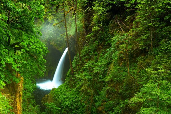 Waterfall on the background of nature