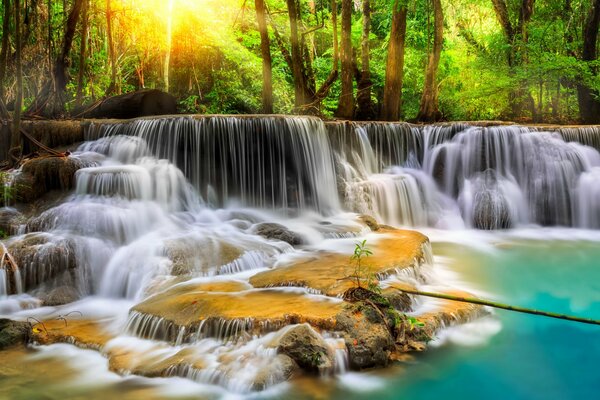 Красивый водопад в лесу. Каскад из воды