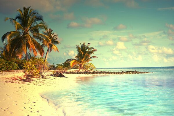 Tropischer Strand bei Sonnenuntergang. Fotobearbeitung in blauer Farbe. Sandufer