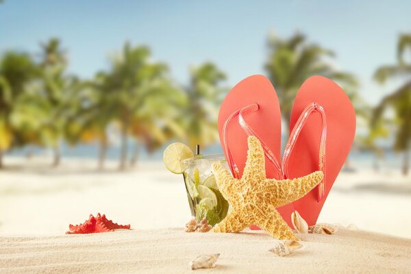 Relaxing on the beach with a cocktail and sea stars