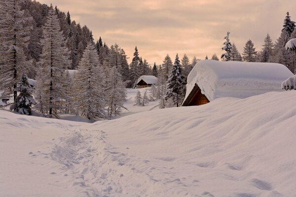 Snow-covered houses in winter