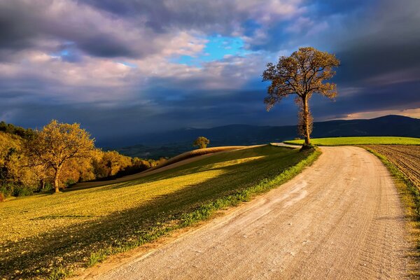 Schwarze, schwere Wolken ziehen den Himmel über glatten grünen Feldern an