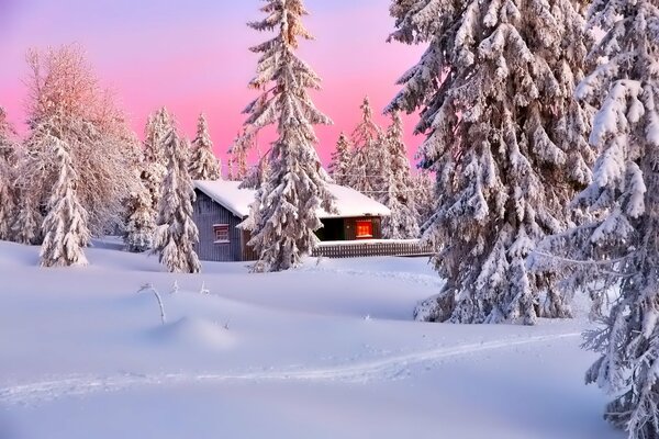 Haus zwischen Schneeverwehungen und Bäumen