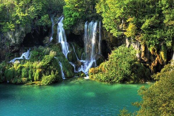 Lago della foresta con cascata