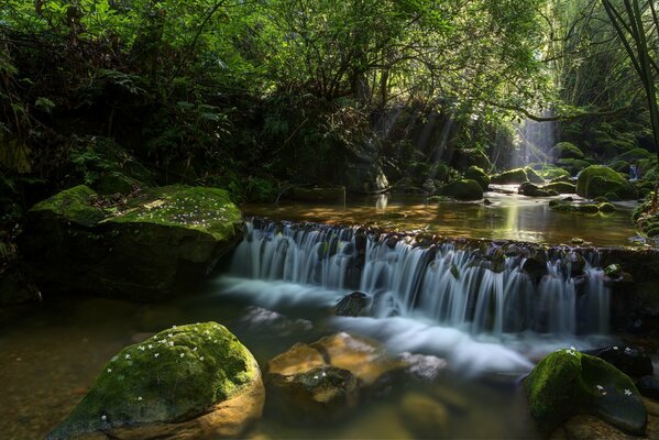 Cascade miniature dans la rivière de la forêt féerique inondée de sel