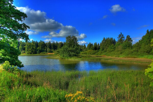 Fiume blu su uno sfondo di cielo blu con nuvole bianche sponde verdi