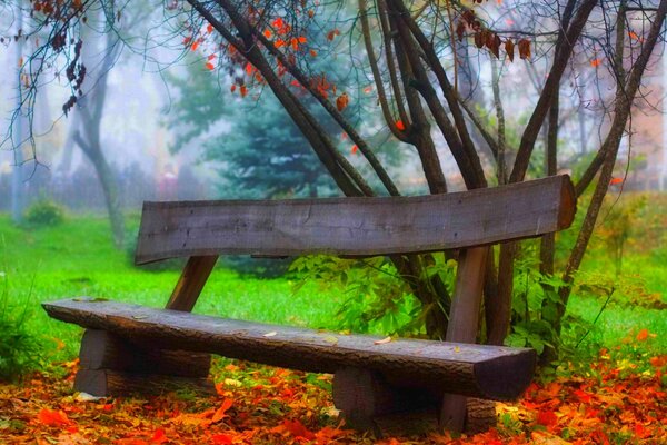 Panchina nel parco, sullo sfondo di fogliame autunnale e alberi