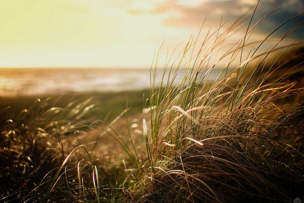 Ein einsamer Strand. Herbstmeer