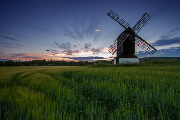 Image of green fields with a mill on the background of sunset