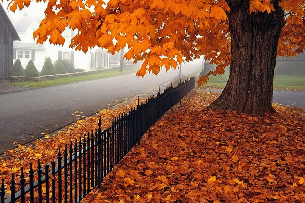 Herbstlandschaft im Privatsektor