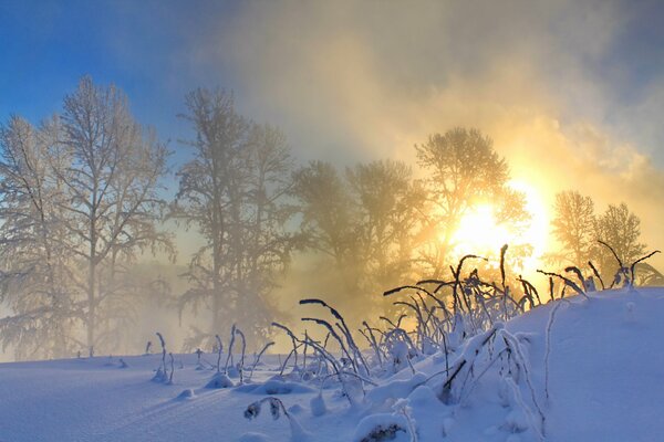 Matin d hiver dans le village