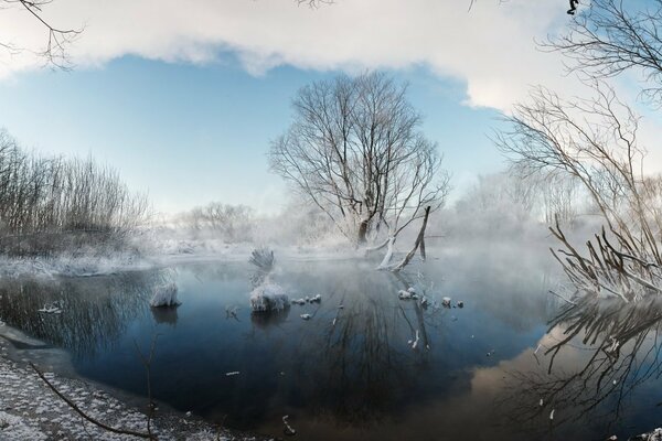 Paesaggio invernale. Nebbia sul lago in una mattina gelida