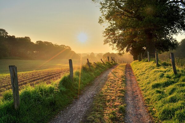 Al atardecer, el camino se vuelve más