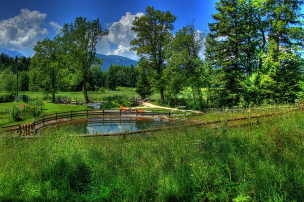 Paisaje de naturaleza vibrante y exuberante