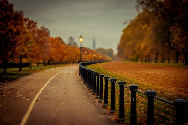 The road through the park painted in autumn