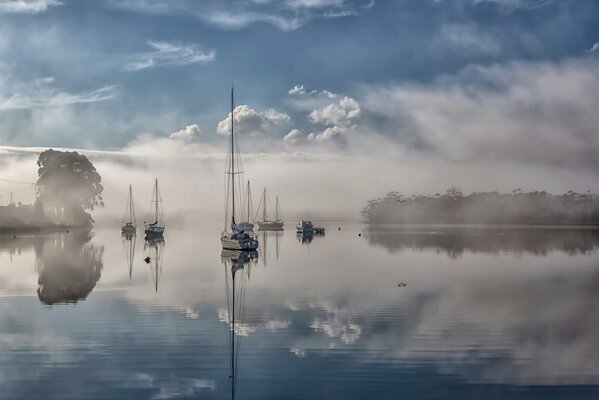 Ein Fluss in Australien, der in Nebel gehüllt ist