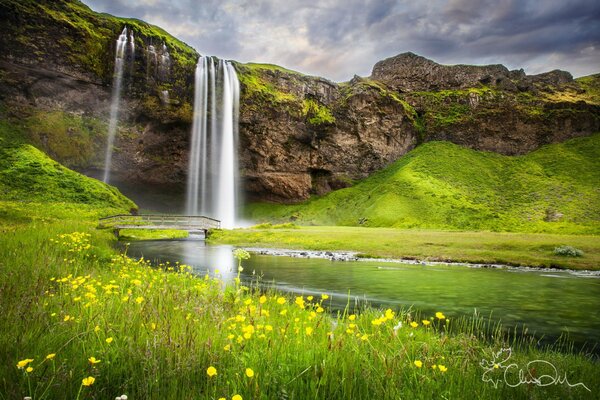 Природа летом с водопадом и цветами