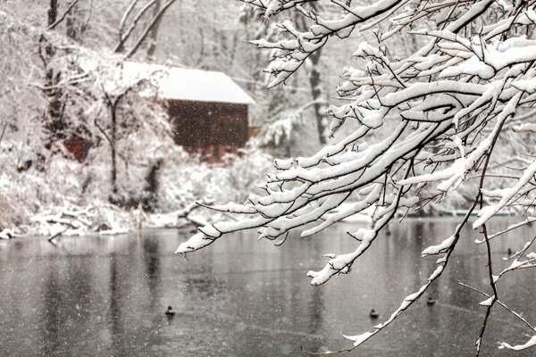 Haus am Ufer eines schneebedeckten Sees