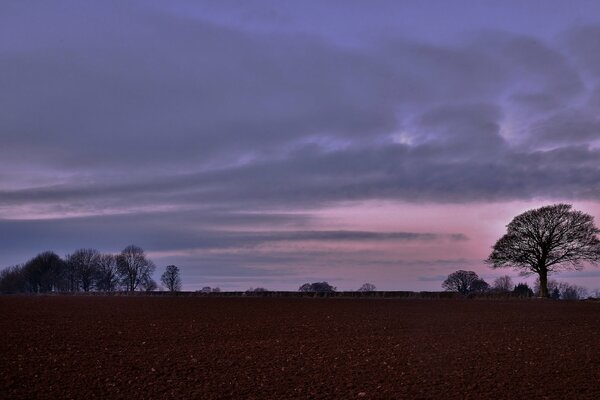 Herbst Abend Wolken